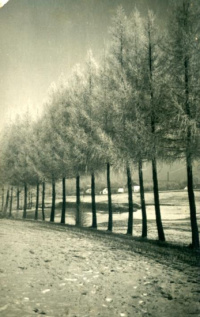 Historická fotografie